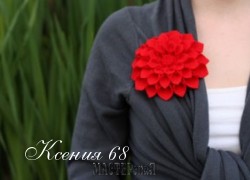 Ксения 68 - Брошь из фетра. МК