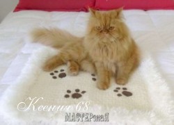 Ксения 68 - Коврик для кота. Схема