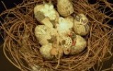 Ксения 68 - Винтажные пасхальные яйца
