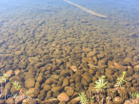 Вода чистейшая