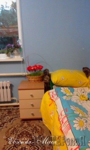 Сын не всегда любит спать на своей кровати, поэтому оставила ему одно кресло-кровать. Его любимое одеяло - с пчелкой. Комната, как и полагается для мальчика - в голубом цвете...