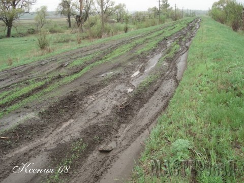 Вот по такой дороге мы ехали :-))