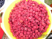 Увеличить 20133007004102.jpg