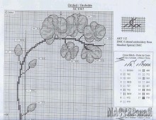 20140203211859.jpg