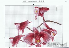 20140203211956.jpg