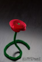 20140302131953.jpg