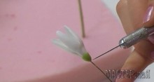 20150403144203_0.jpg