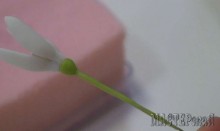 20150403144205_0.jpg