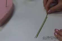 20150403144206_0.jpg