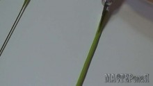 20150403144207.jpg