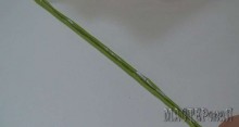 20150403144208.jpg
