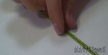 20150403144208_0.jpg