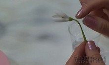 20150403144211.jpg