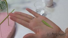 20150403144212.jpg