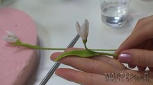 20150403144214_0.jpg