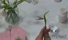 20150403144215.jpg