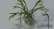 20150403144216.jpg