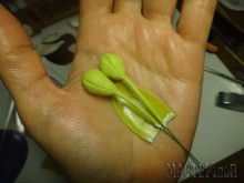 Увеличить 20150403150436_0.jpg 20150403150436_0.jpg