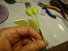 Увеличить 20150403150438_0.jpg 20150403150438_0.jpg