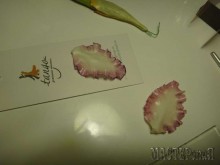 Увеличить 20150403150440_0.jpg 20150403150440_0.jpg
