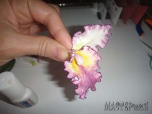 Увеличить 20150403150444.jpg 20150403150444.jpg