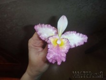 Увеличить 20150403150445_0.jpg 20150403150445_0.jpg