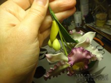 Увеличить 20150403150452_0.jpg 20150403150452_0.jpg