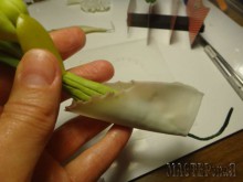 Увеличить 20150403150455.jpg 20150403150455.jpg