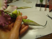 Увеличить 20150403150456.jpg 20150403150456.jpg