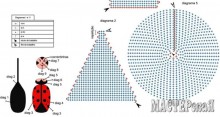 88149873_joaninhacroche_grafico_170811.jpg