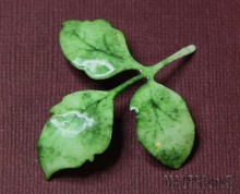 20151001105736.jpg