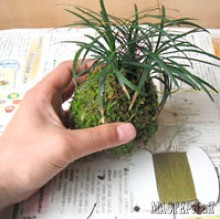 20141402095048_2.jpg