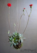 20141402095805.jpg