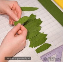 20130412104616.jpg