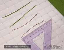 20130412104618.jpg