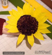 20130412104622.jpg