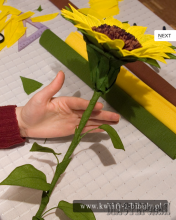 20130412104636.png