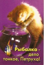Увеличить 20130809224011.jpg