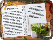 20131511141851.png