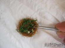 20132111110309.jpg