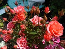 Увеличить 20132207222026.jpg