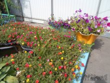 Увеличить 20132207222128.jpg