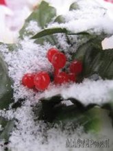 20132211112708.jpg