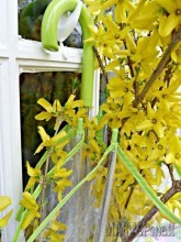 20142403134332_0.jpg
