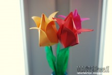 20142502111145_1.jpg