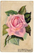 20142904131820.jpg