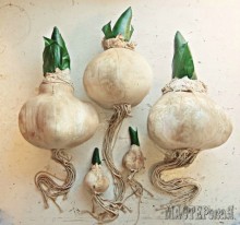 20132912125142.jpg