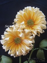 20133012115806.jpg