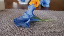 20133012131941.jpg