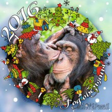 Увеличить 20153012174322.jpg 20153012174322.jpg